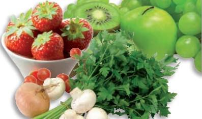 Demeditec �^(gu��)��ԭ�\��ԇ���У�ELISA����