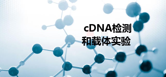 cDNA�z�y���d�w��(sh��)�(y��n)